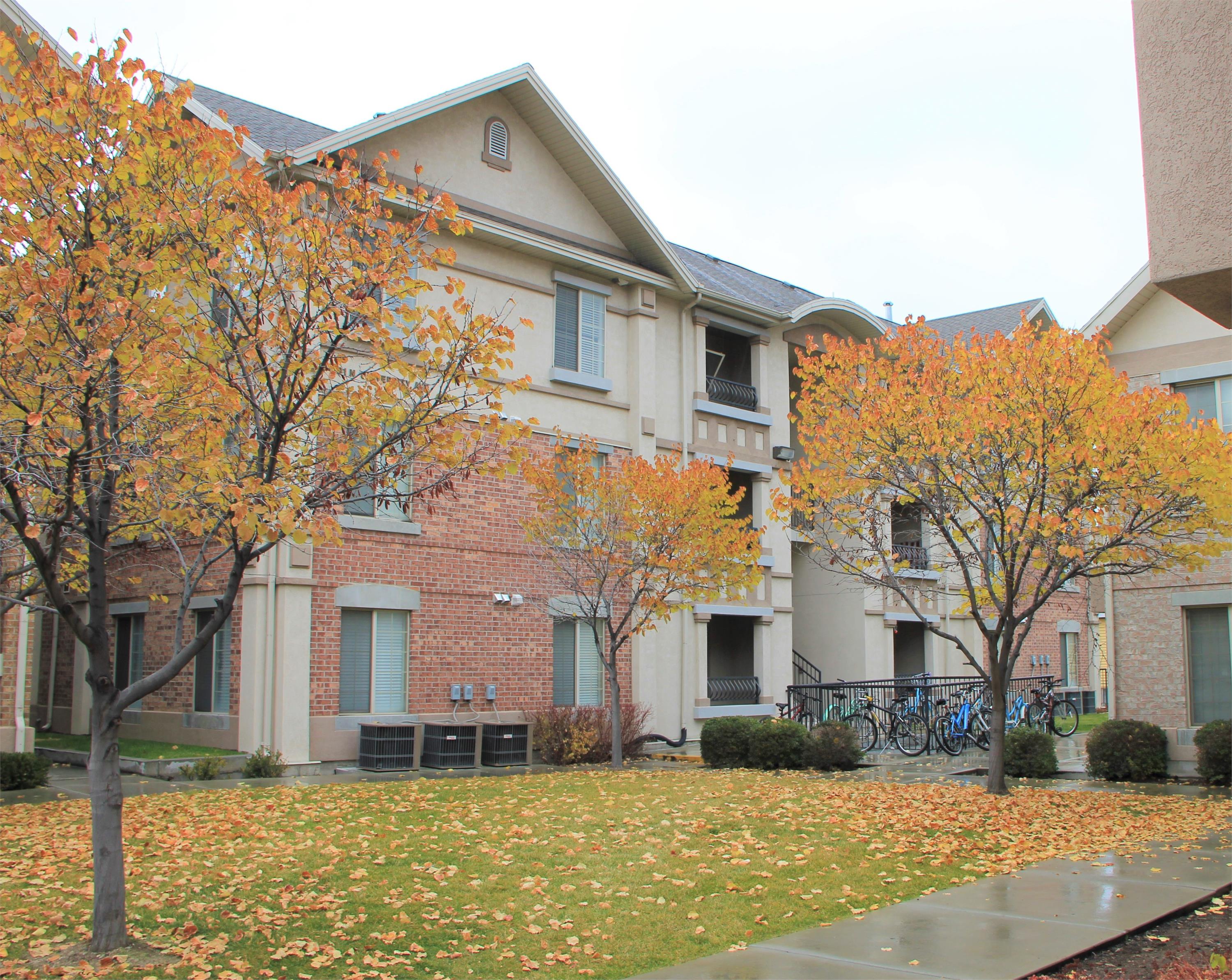 591 N University Ave #316